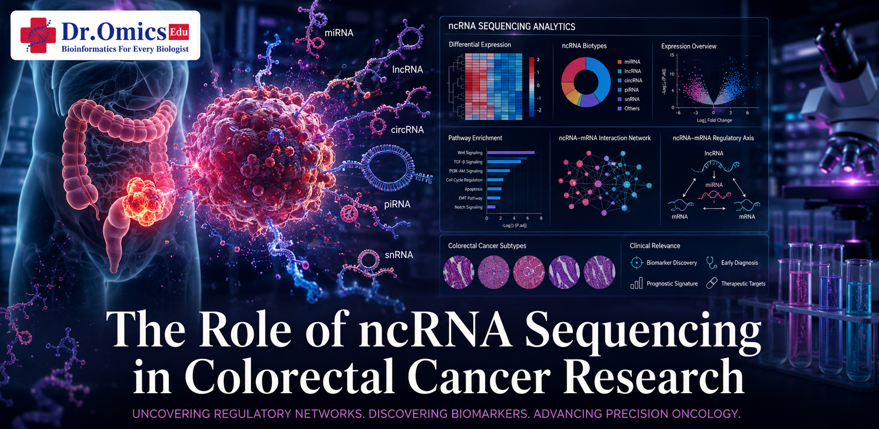 The Role of ncRNA Sequencing in Colorectal Cancer Research