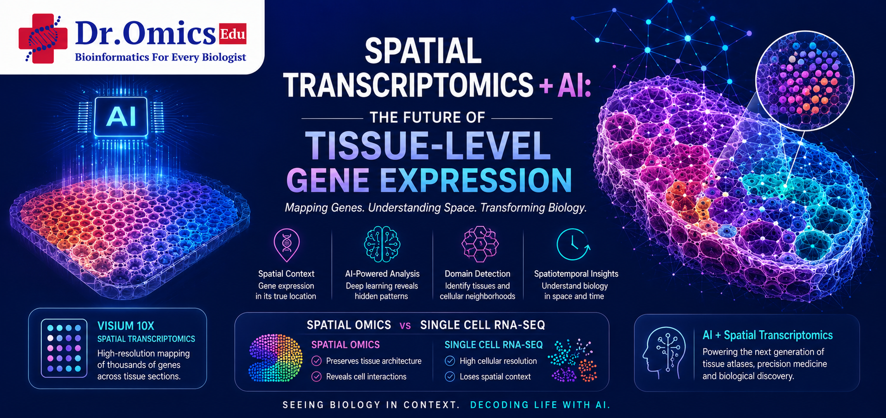 Spatial Transcriptomics + AI: The Future of Tissue-Level Gene Expression