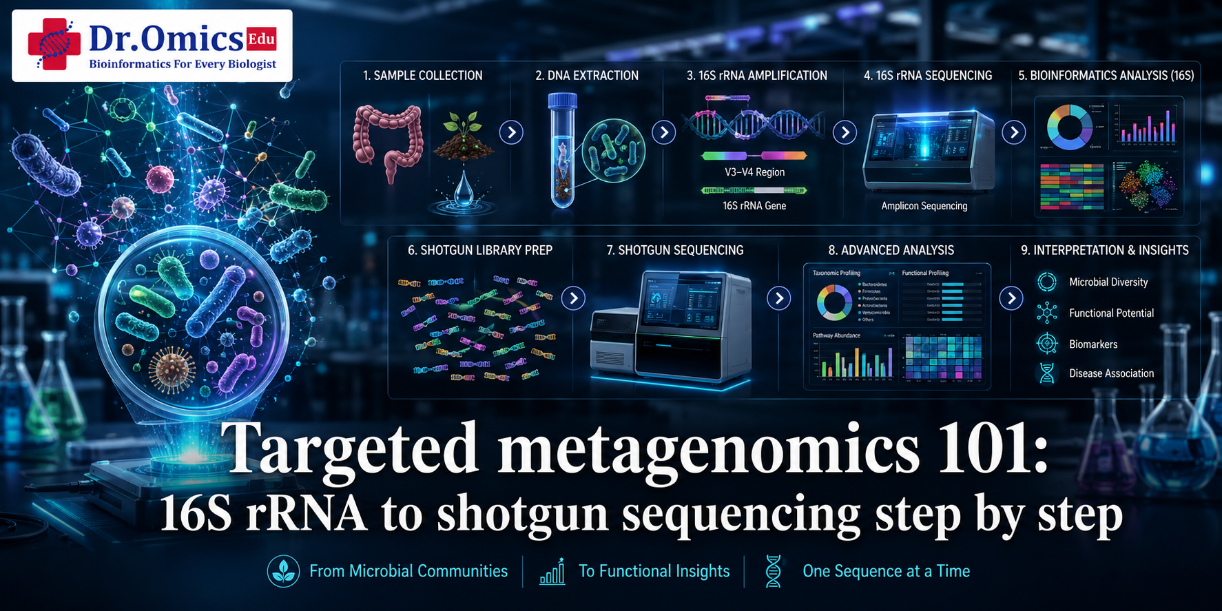 Targeted metagenomics 101: 16S rRNA to shotgun sequencing step by step