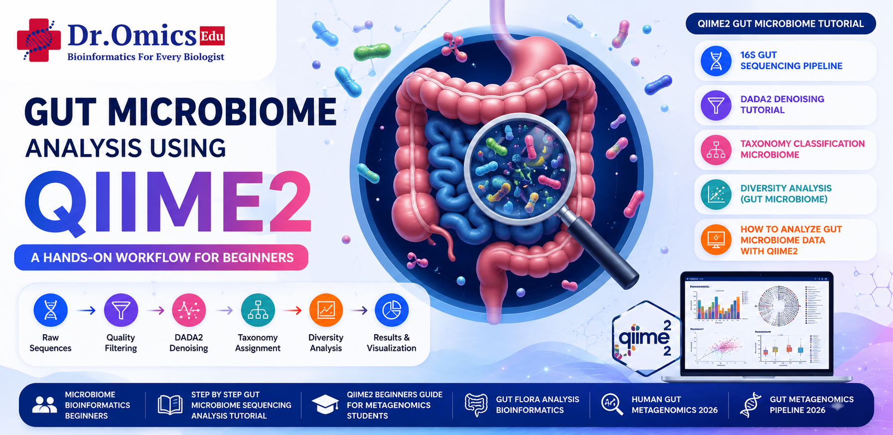 Gut Microbiome Analysis Using QIIME2: A Hands-On Workflow for Beginners