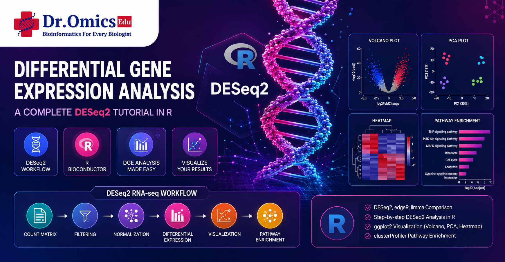 Differential Gene Expression Analysis: A Beginner-Friendly DESeq2 Tutorial in R