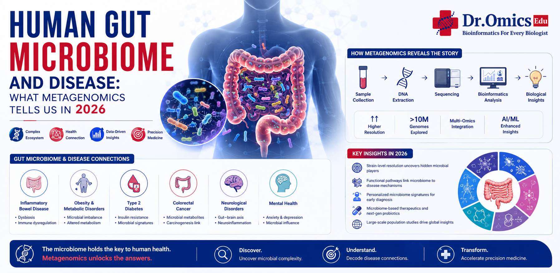Human Gut Microbiome and Disease: What Metagenomics Tells Us