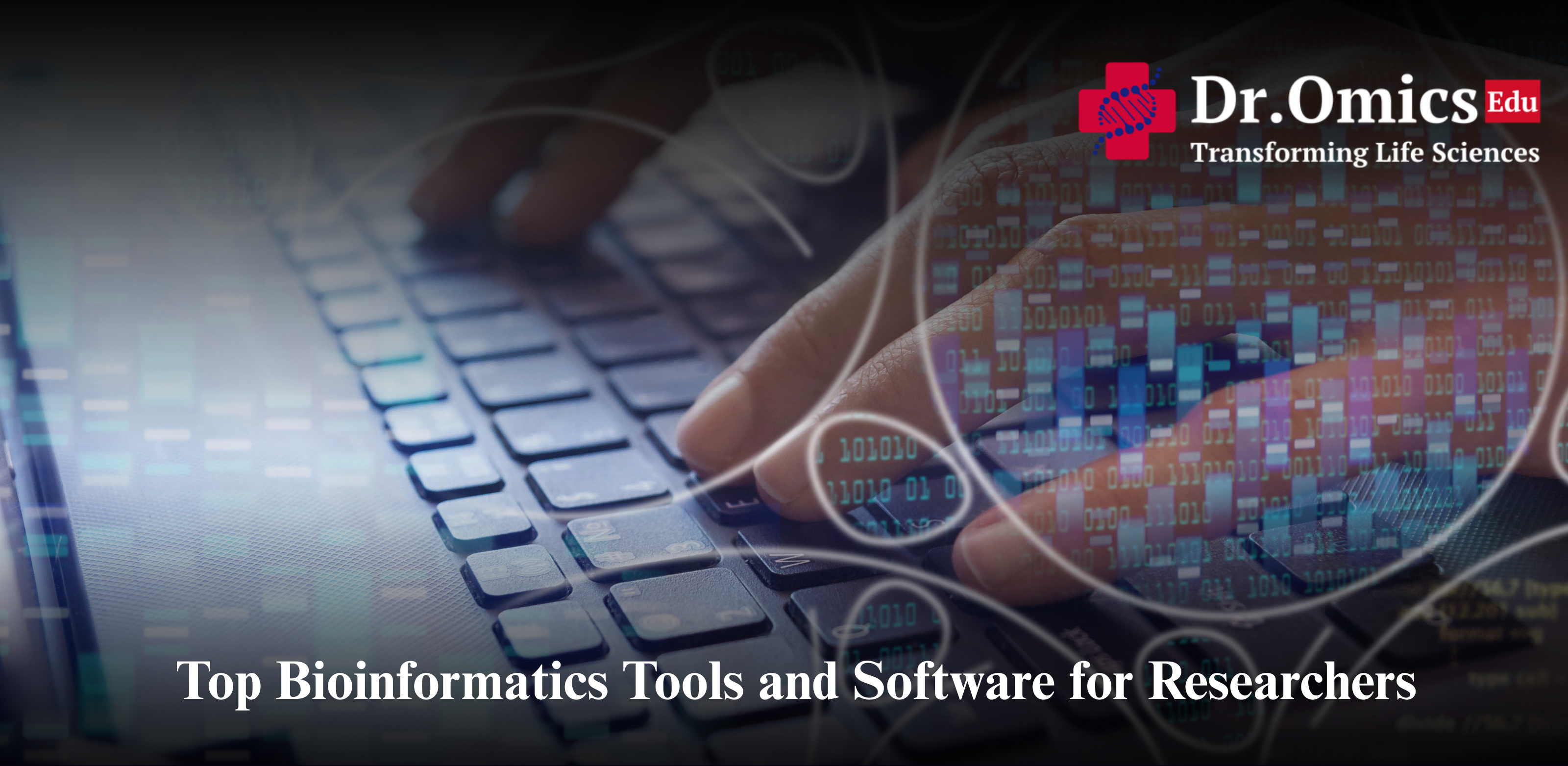 Top Bioinformatics Tools and Software for Researchers