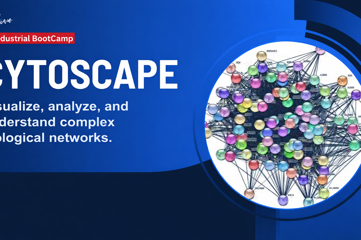 Cytocraft: Sparking Cytoscape Mastery