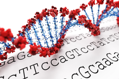 miRNA Seq Data Analysis