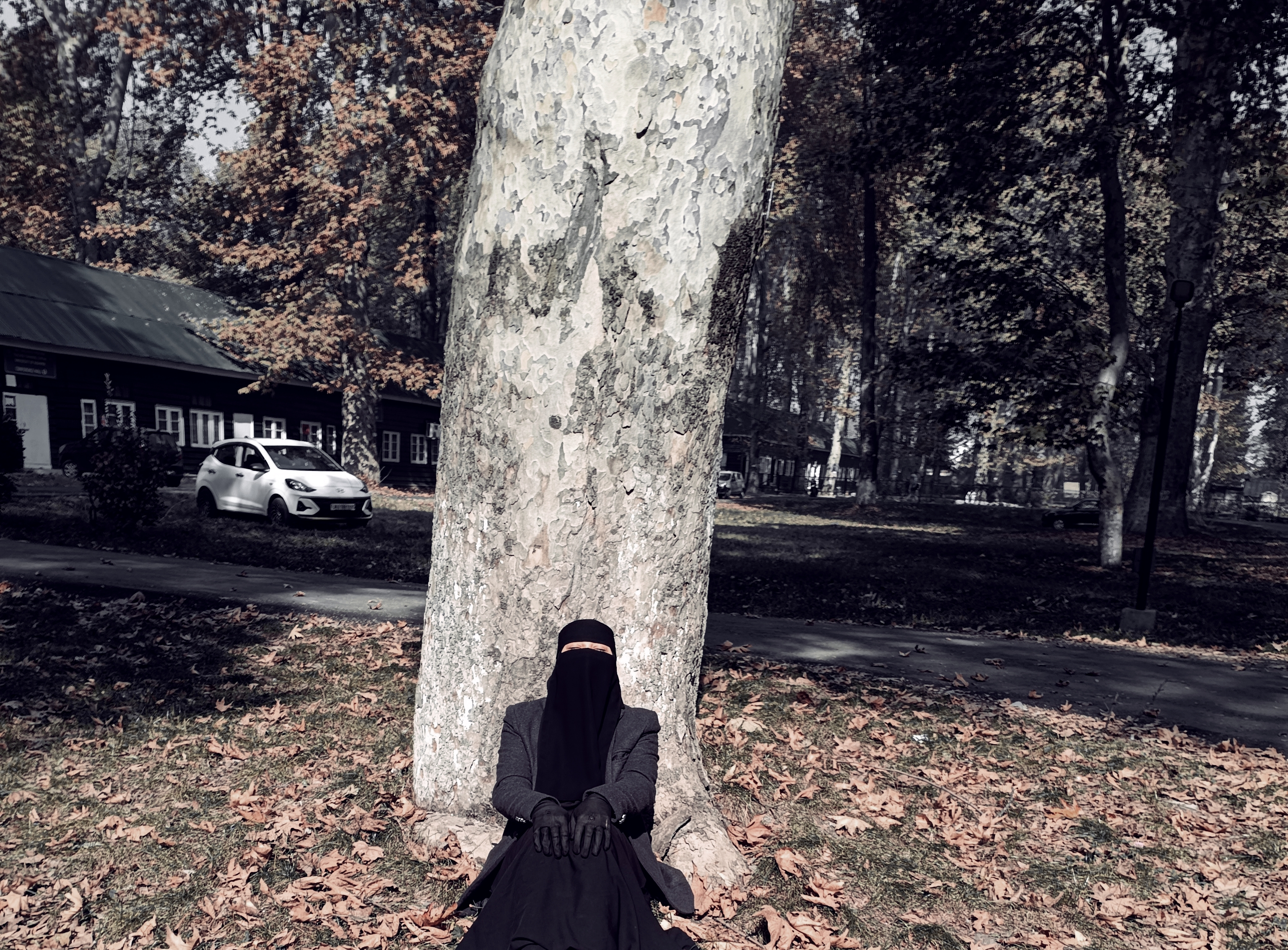 Sheikh Farzana